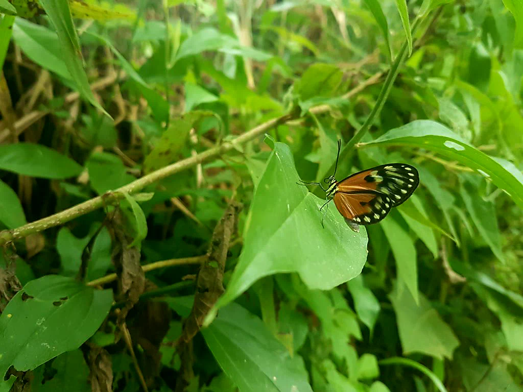 Morgenstimmung in der Sierra Nevada
