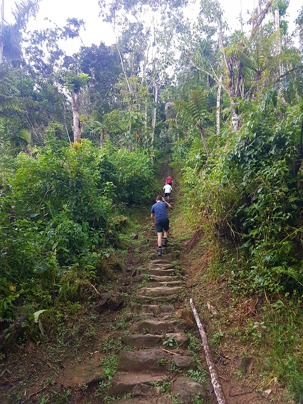 1200 Stufen liegen vor uns