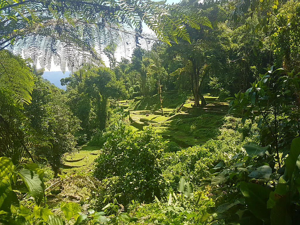 Runde Terrassen der Tayrona
