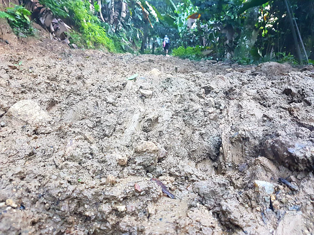 Der Regen hat seine Spuren hinterlassen...