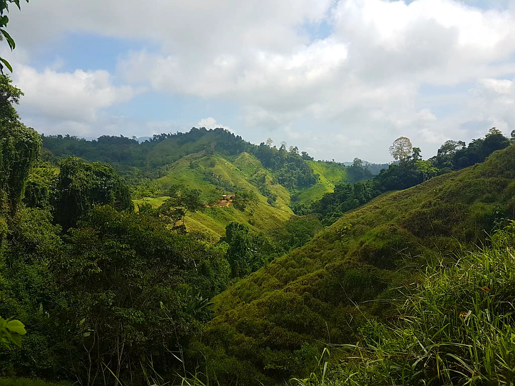 Heute Grasfläche, früher Koka-Anbau.