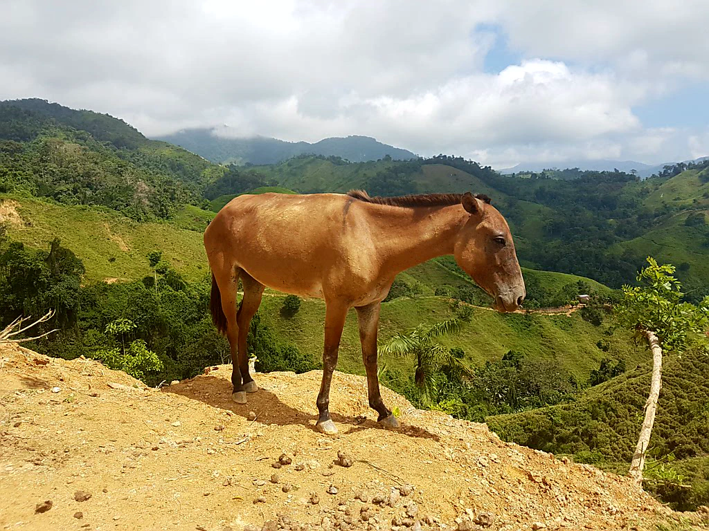 Weite Blicke in die Sierra Nevada