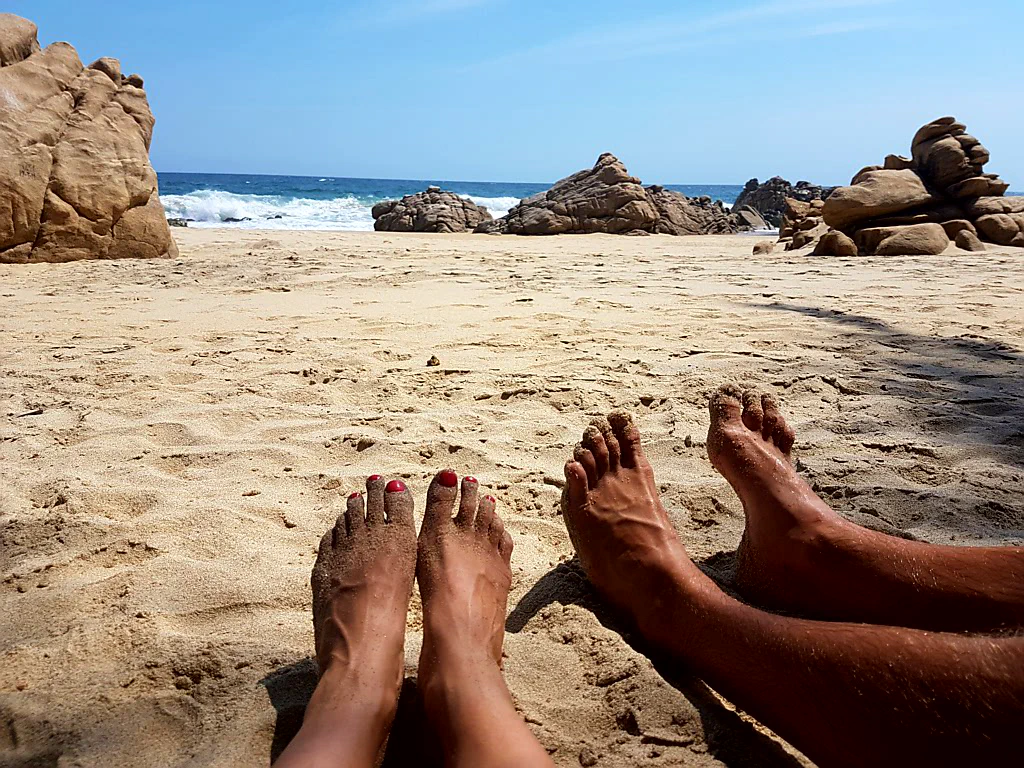 Schildkrötennester am Strand
