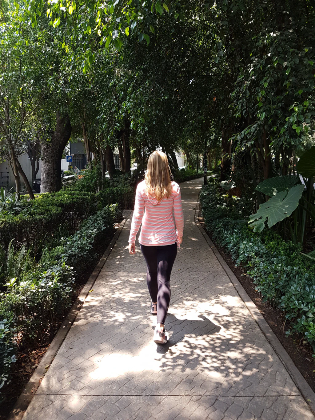 Avenida Amsterdam - mit neuem Haarschnitt!