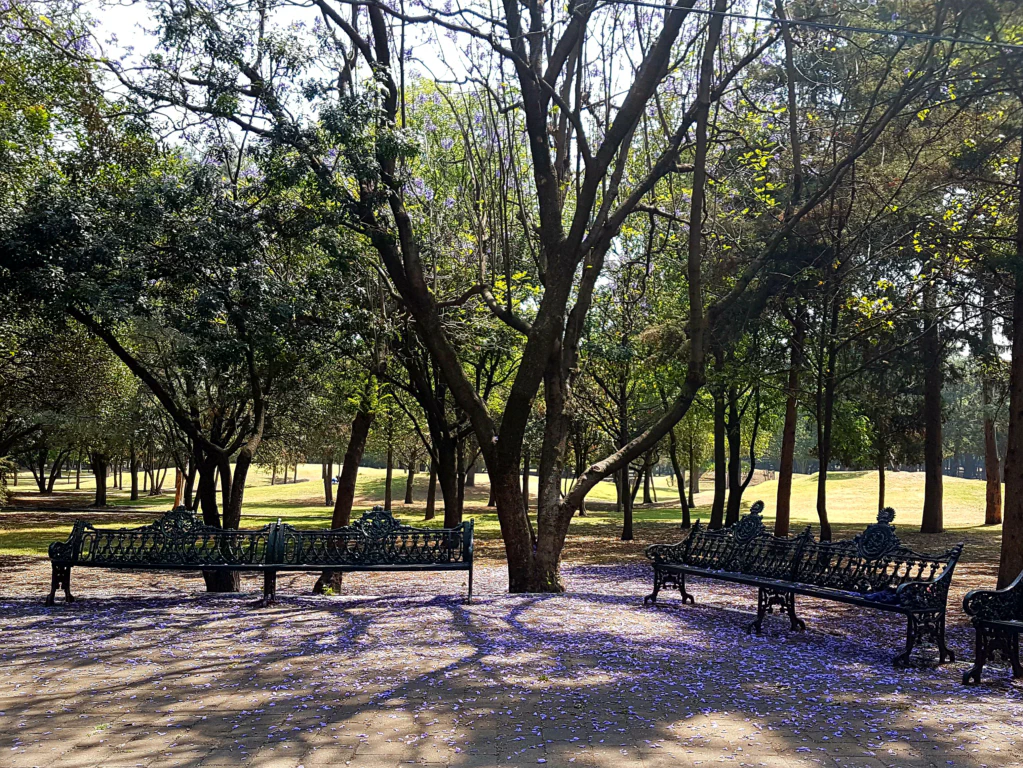Spaziergang durch den Park Chapultepec