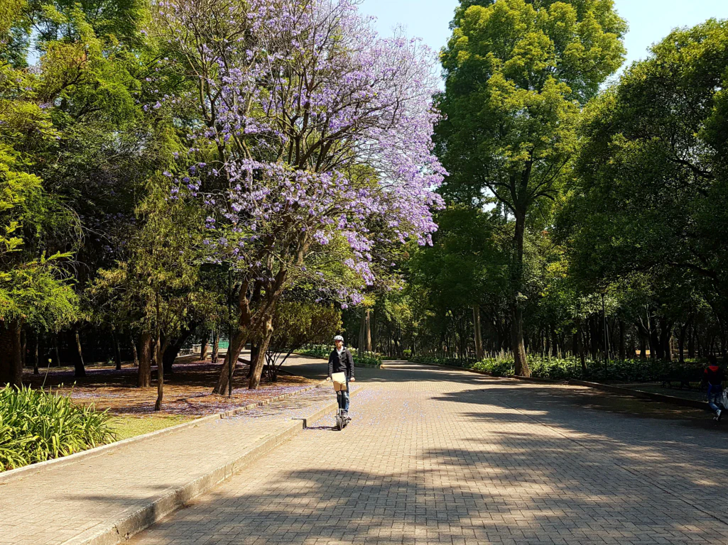 Idyllische Ecken im Grünen