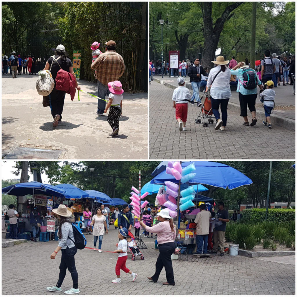 Kind an der Leine - leider traurige Realität