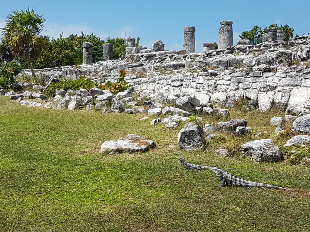 Die Ruinen von El Rey