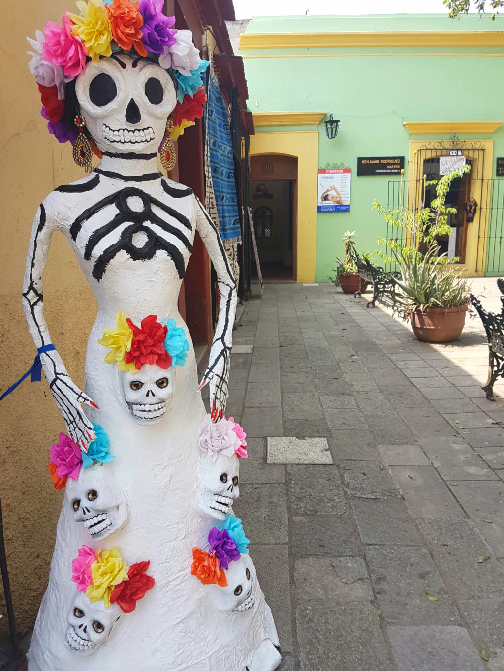 Im botanischen Garten