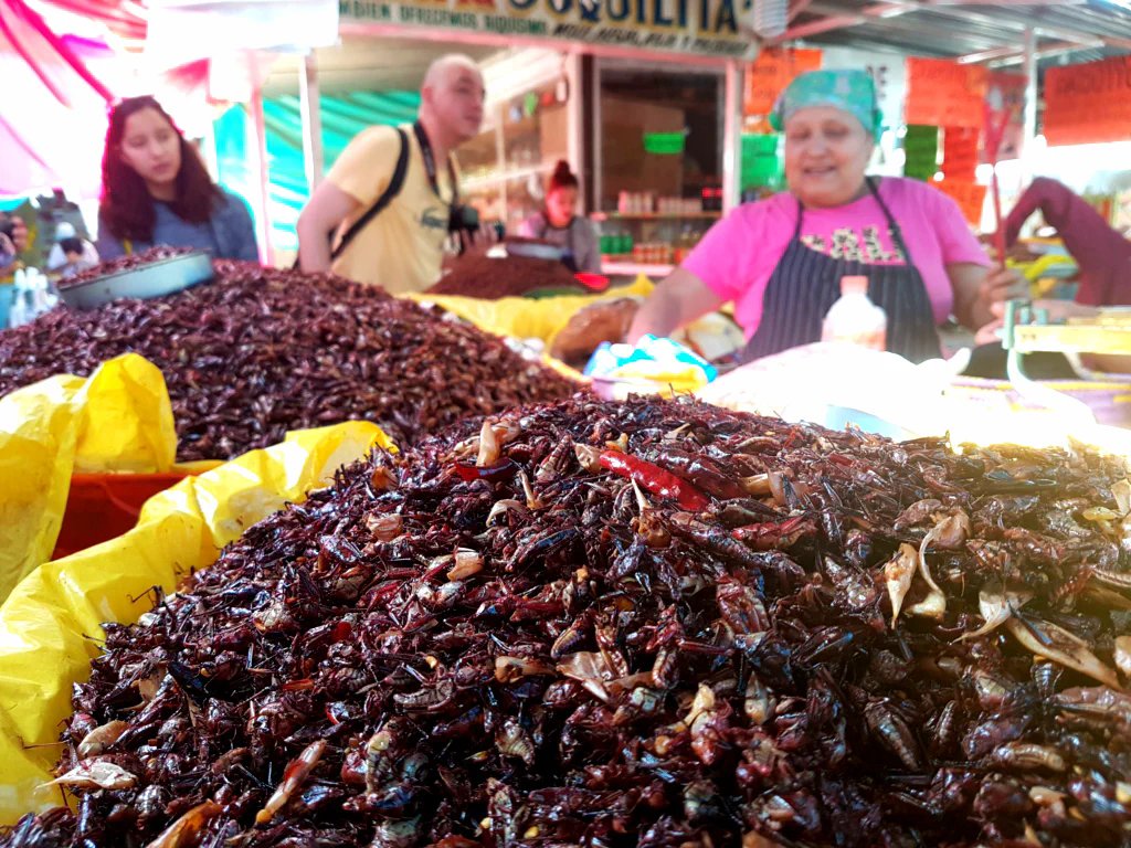Heuschrecken in allen Größen...