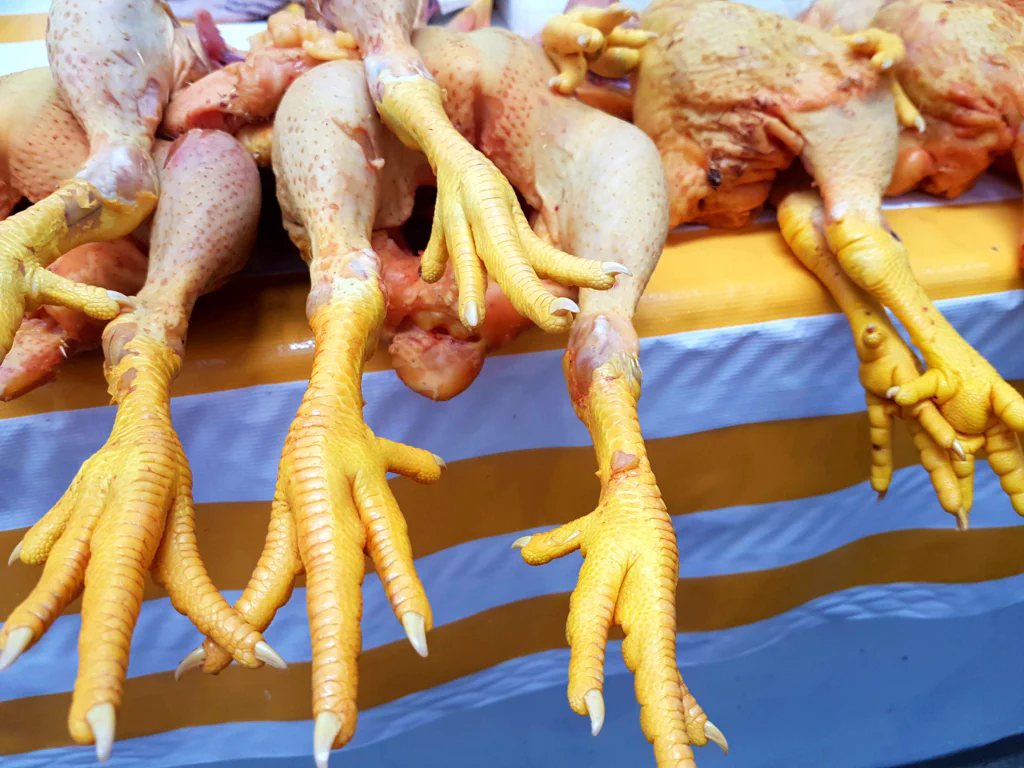 Keine Heuschrecken - aber ich fand die Füße bemerkenswert