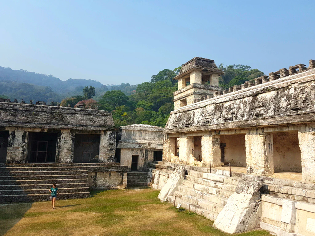 Dschungel trifft auf Ruinen