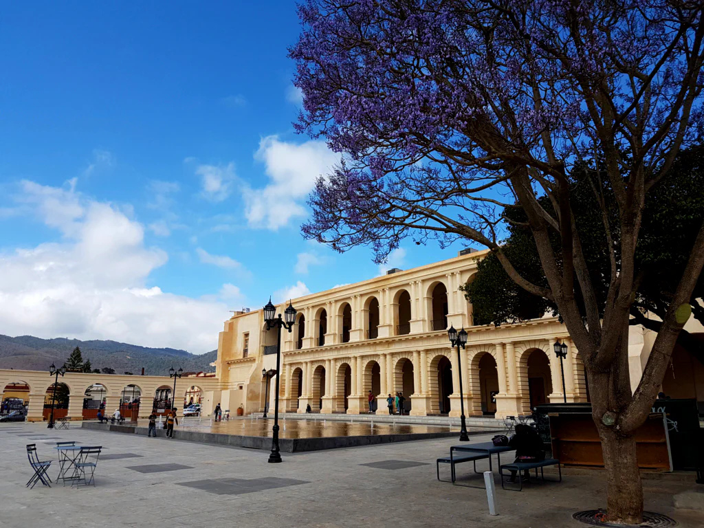 Buntes Treiben auf dem Zocalo