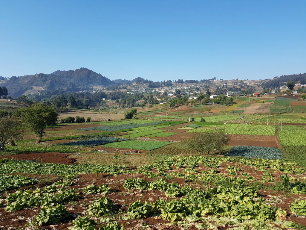 Landschaft im Hochland von Chiapas
