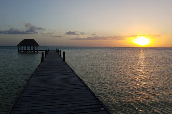 Mexiko: Sind wir noch auf der Isla Holbox oder schon im Paradies?