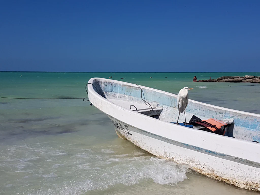 Türkises Wasser soweit das Auge reicht