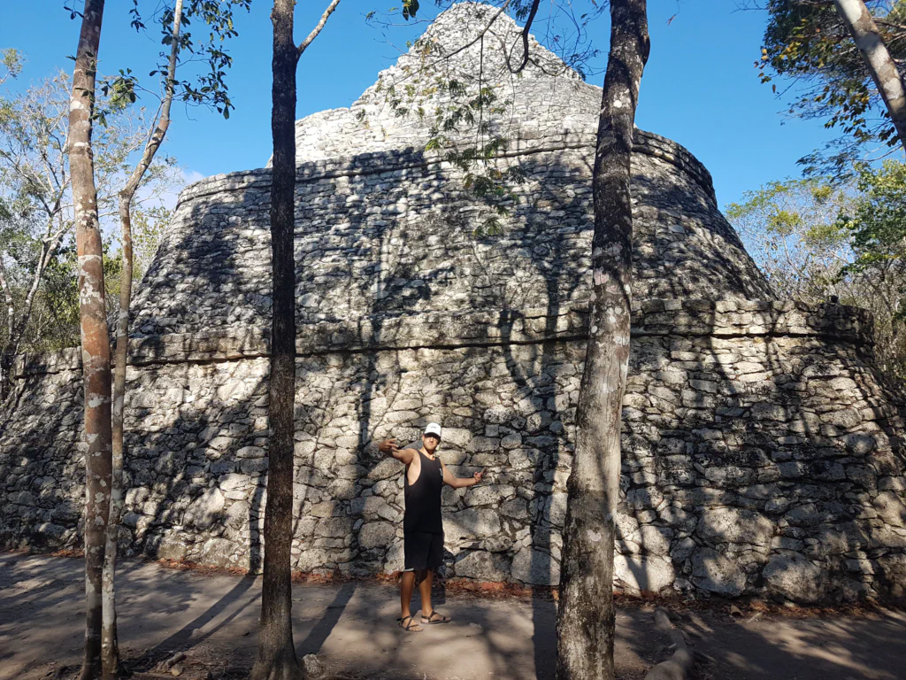 Affen in den Bäumen!