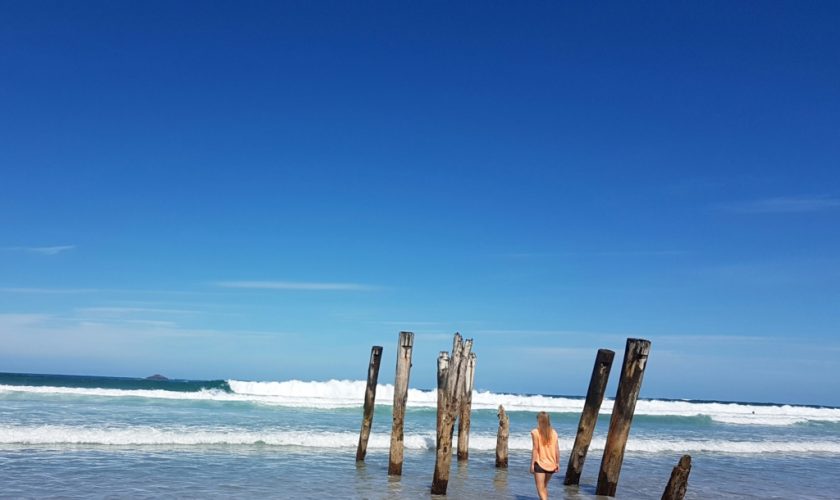 300km per Anhalter von Dunedin nach Christchurch Unsere letzten Tage in Neuseeland