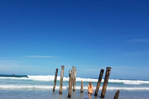 300km per Anhalter von Dunedin nach Christchurch Unsere letzten Tage in Neuseeland