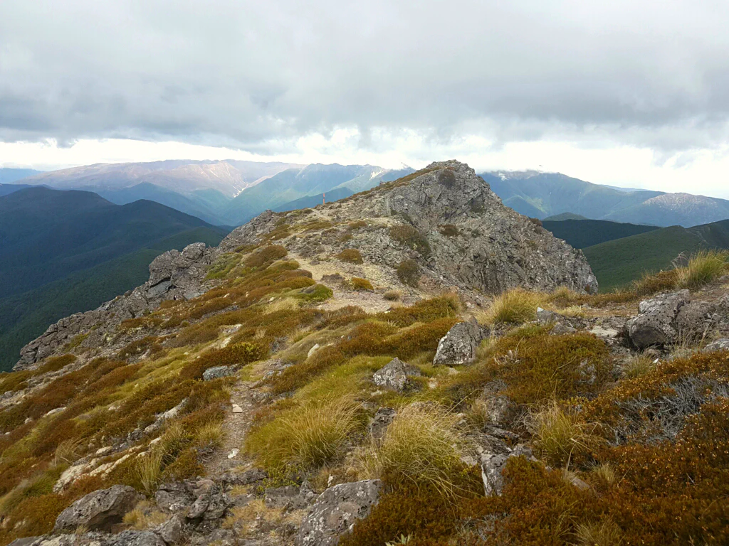 Ankunft an der Mid Wairoa Hut