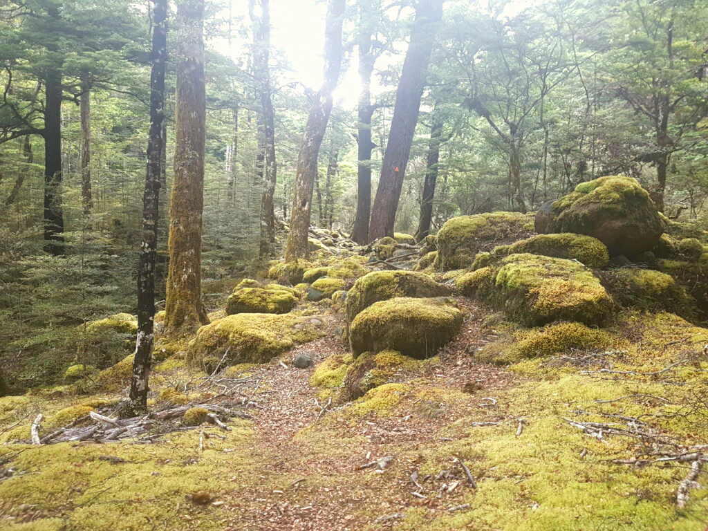 Flussüberquerung Nummer wir-haben-aufgehört-zu-zählen