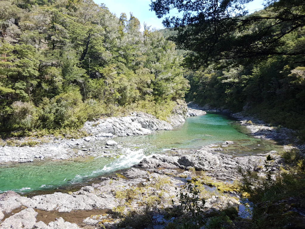 Türkises Wasser des Pelorus River