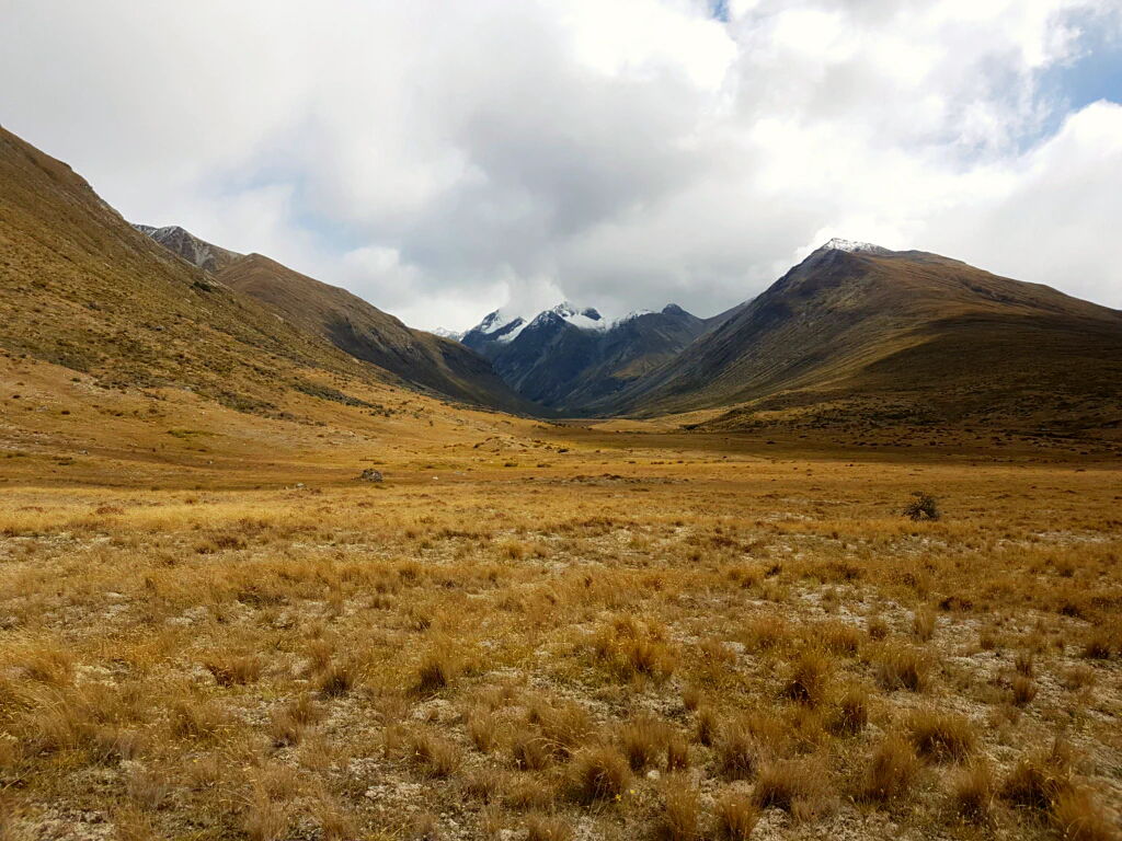 Schneebedeckte Gipfel im Hintergrund