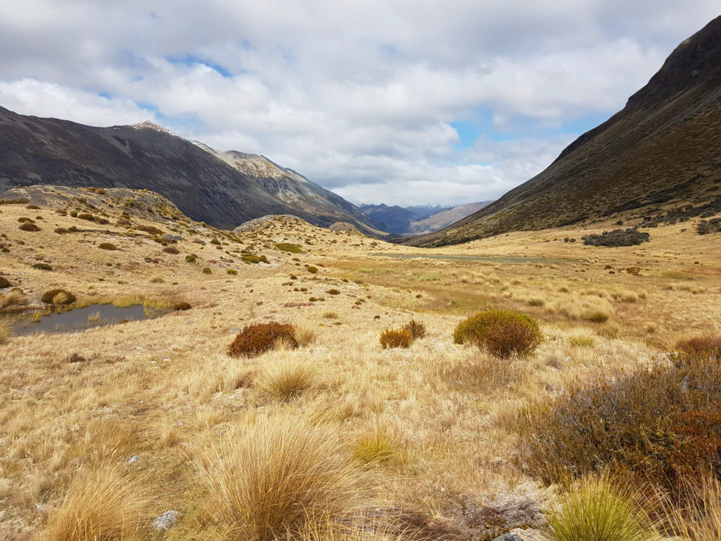 Weite Landschaft mit Bergen