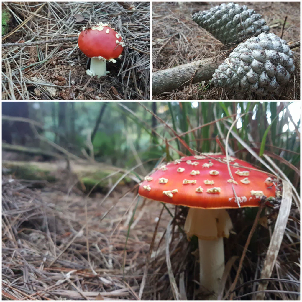 Feierabend fuer heute