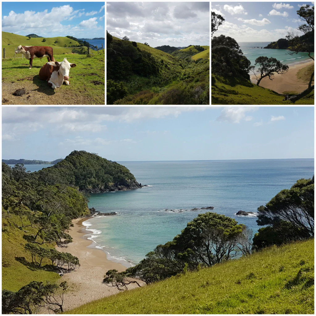 Blick entlang der Kueste