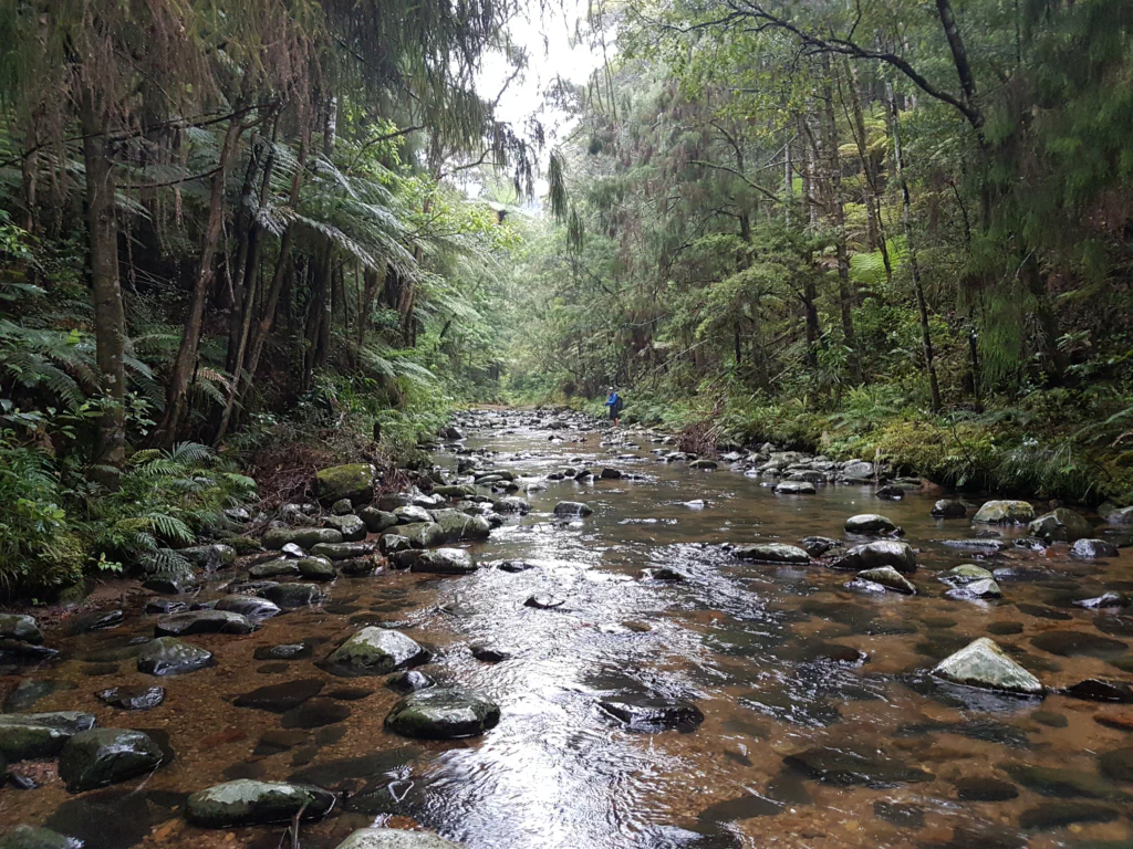 Flussbettwandern im kuehlen Nass