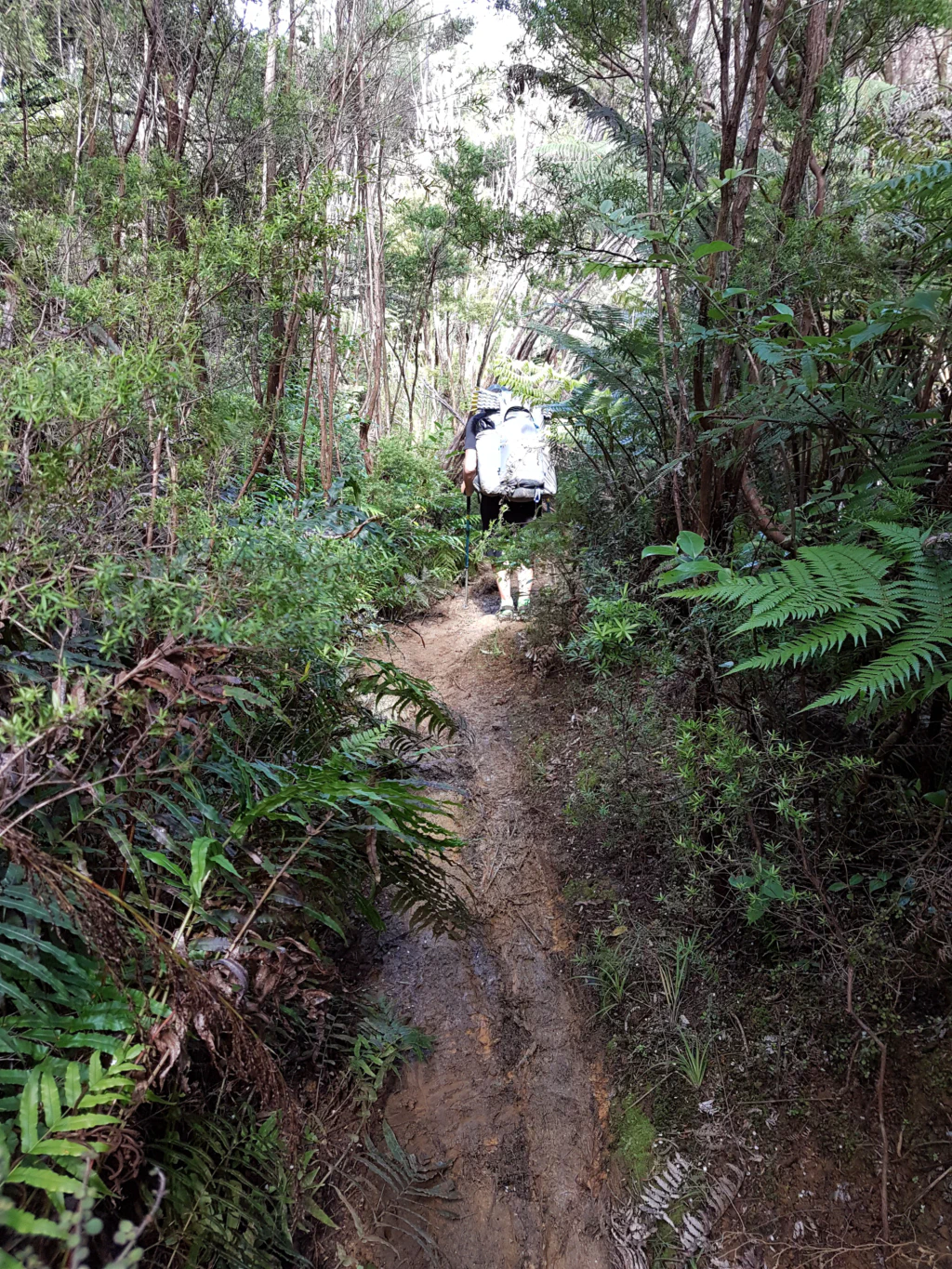 Rutschiger Matsch - Vorsicht!