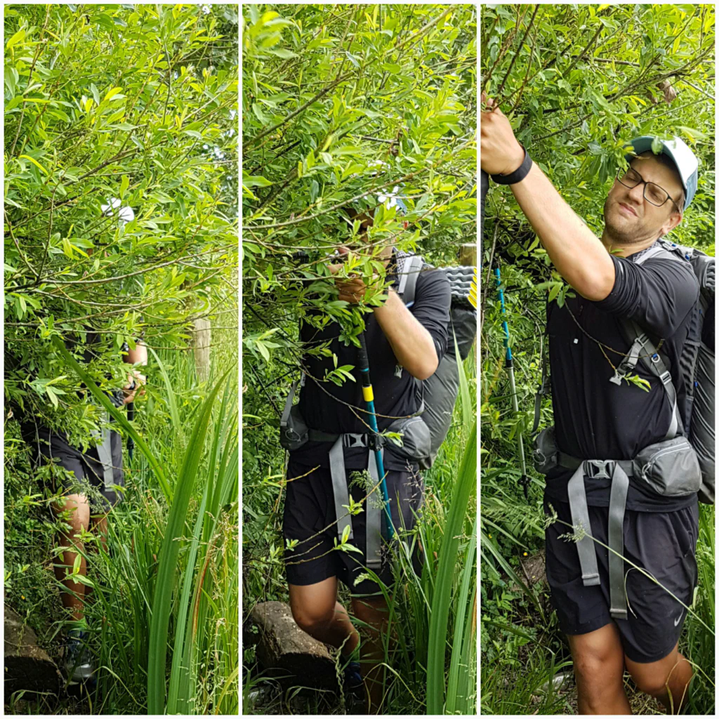 Blick ueber die Landschaft