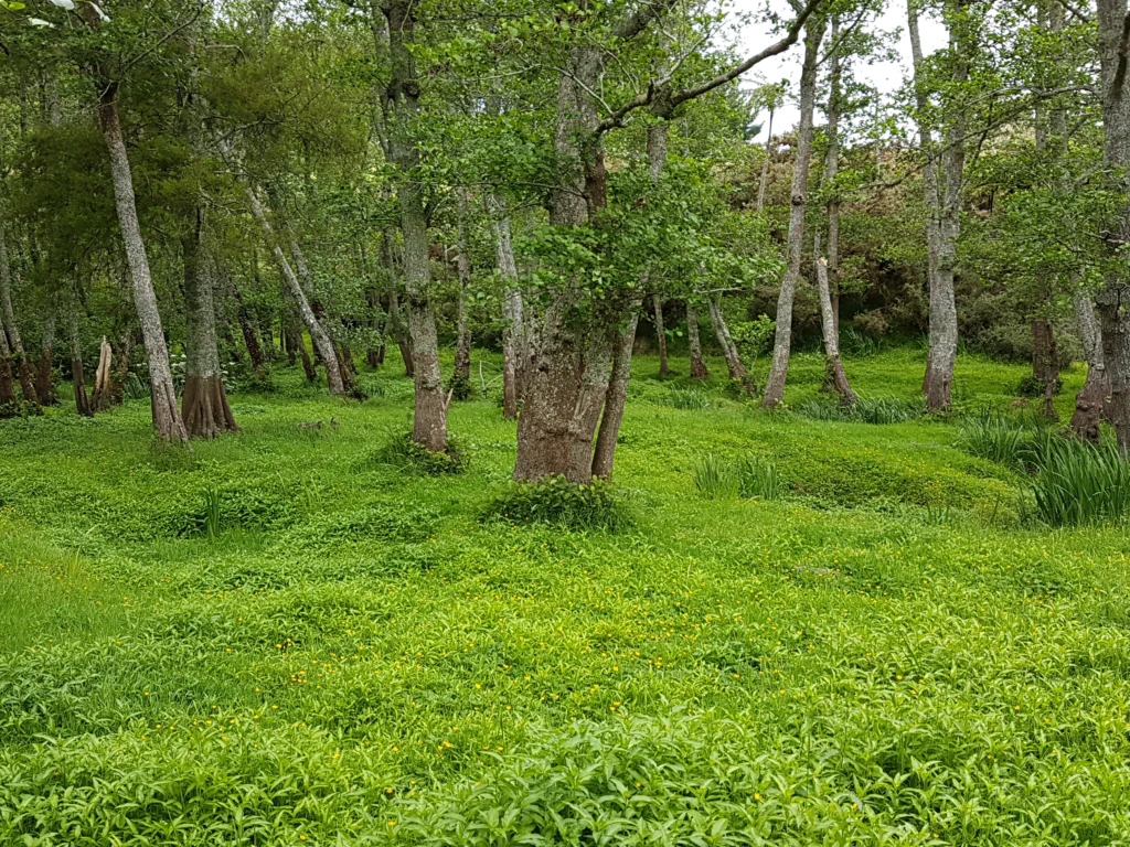 Am Waikato Fluss entlang