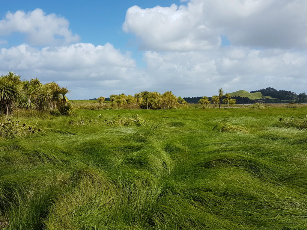 Einfach immer geradeaus