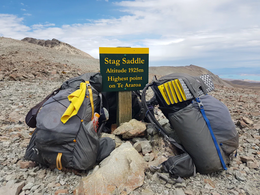 Stag Saddle - hoechster Punkt des Te Araroa!