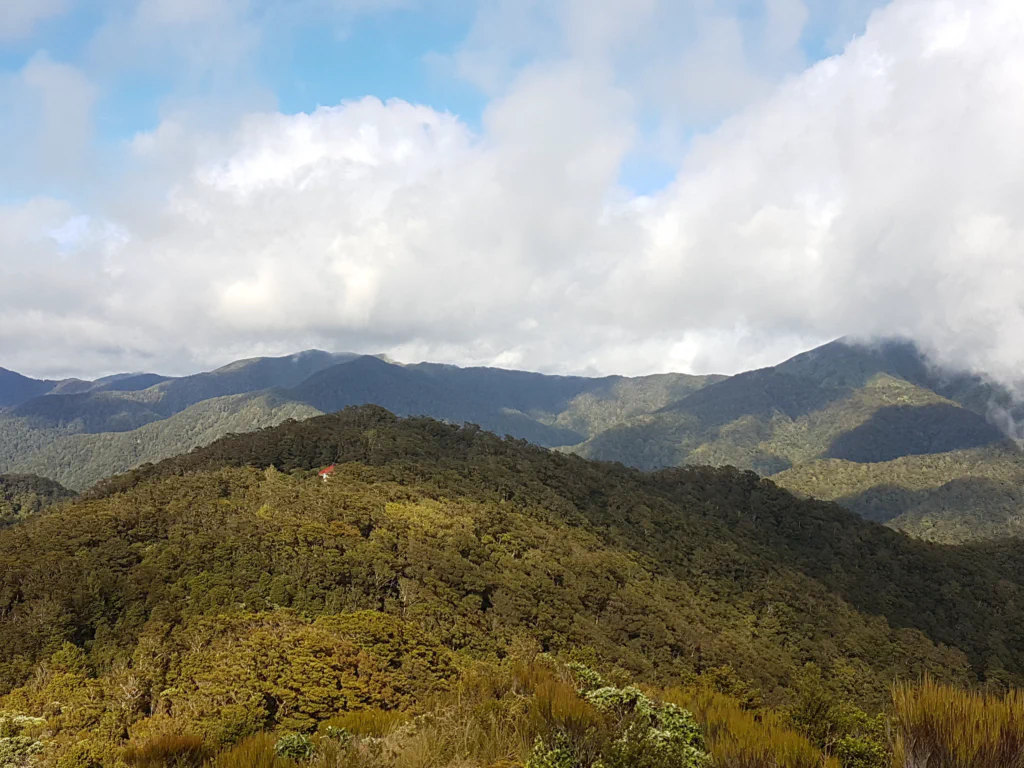 Sonnenschein am zweiten Weihnachtstag