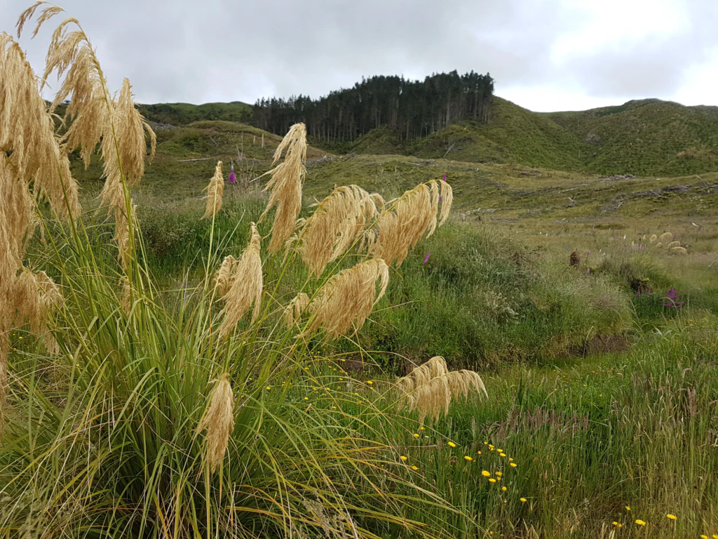 Weihnachtliche Wanderung