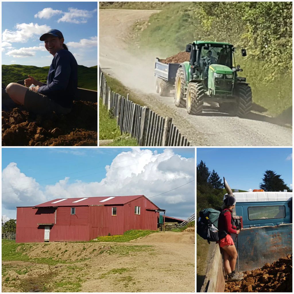 Auf dem Trecker zur Wollscheune