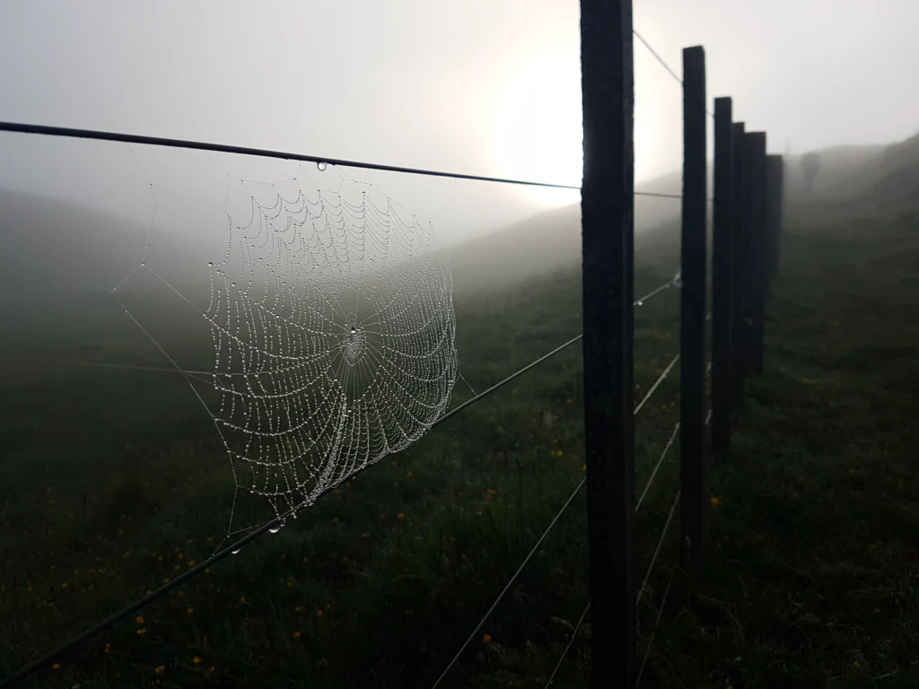 Mystische Landschaft