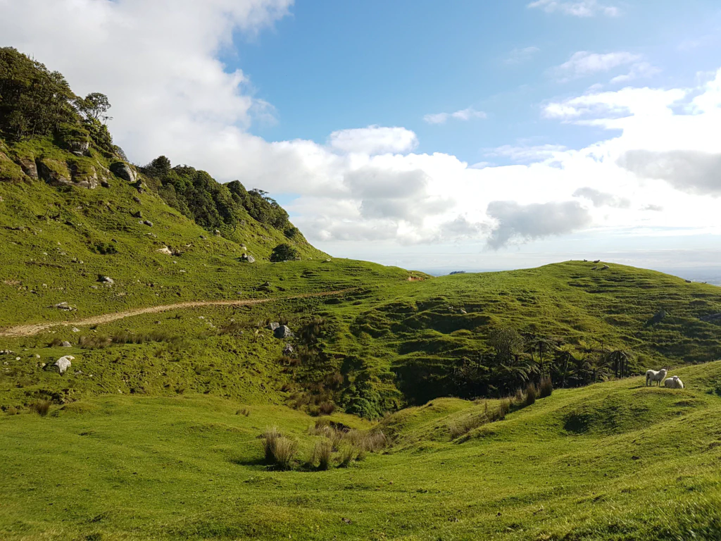 Farmland wie aus dem Bilderbuch