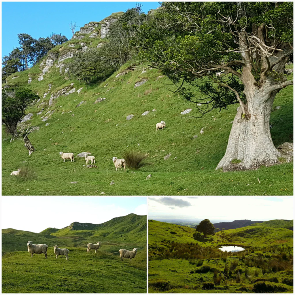 Viele Fotostops noetig