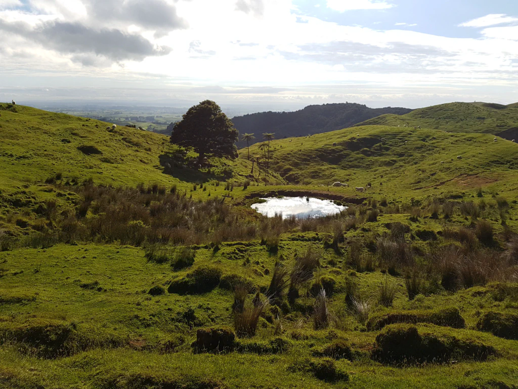 Unser Zelt auf der Weide