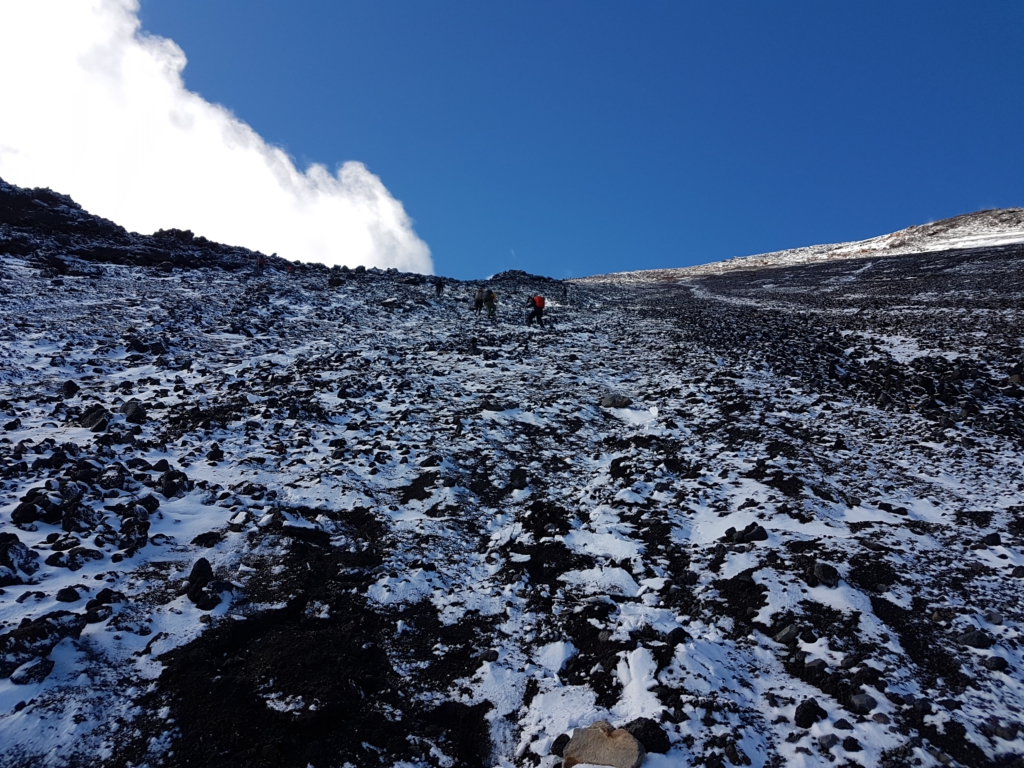 Blick auf Mount Tongariro