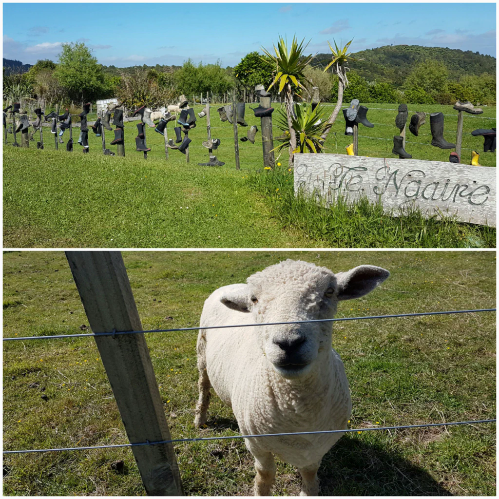 500 Kilometer geschafft!