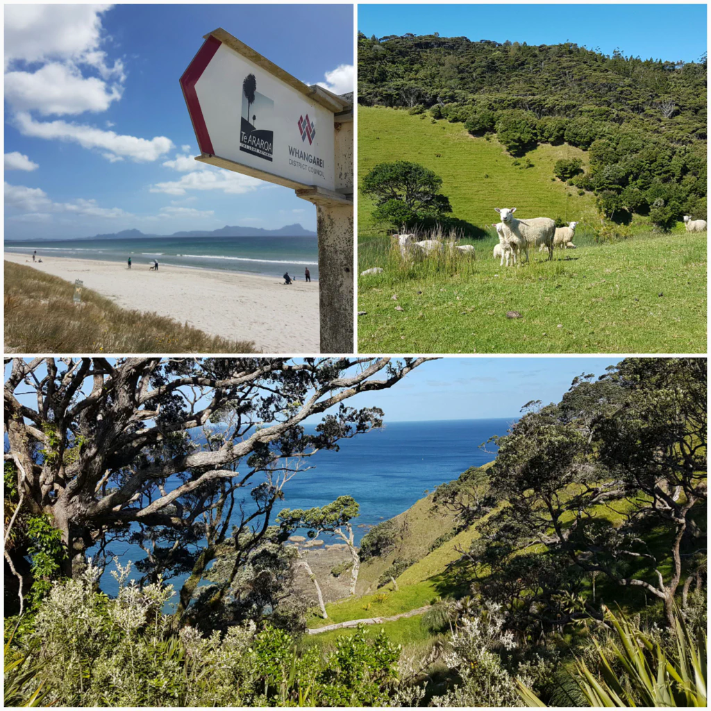 Beachwalk an der Ostkueste