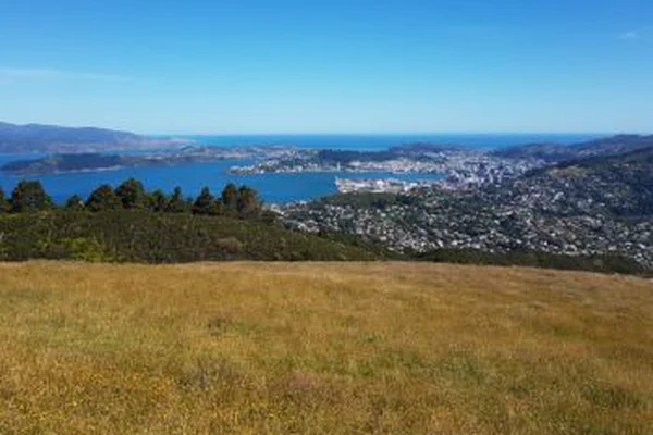 Zehnte Etappe: Wellington – End of North Island