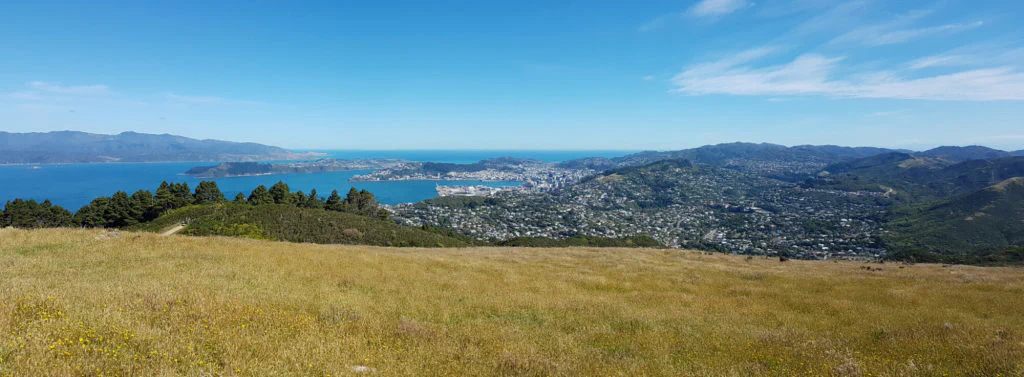 Wellington in Sicht!