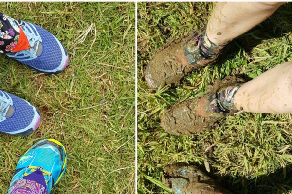 Zweite Etappe: Northland Forests