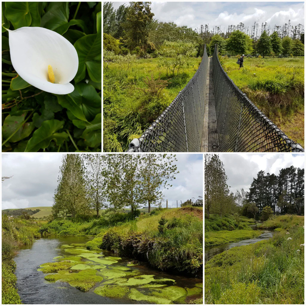Neuseeland wie aus dem Bilderbuch